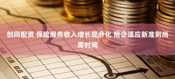 创同配资 保险服务收入增长现分化 险企适应新准则尚需时间