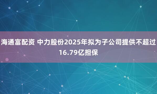 海通富配资 中力股份2025年拟为子公司提供不超过16.79亿担保
