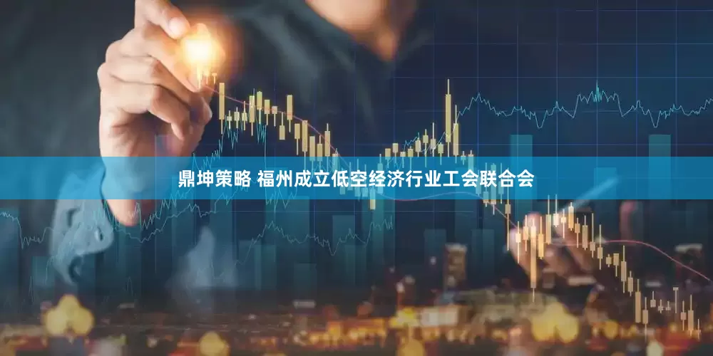 鼎坤策略 福州成立低空经济行业工会联合会
