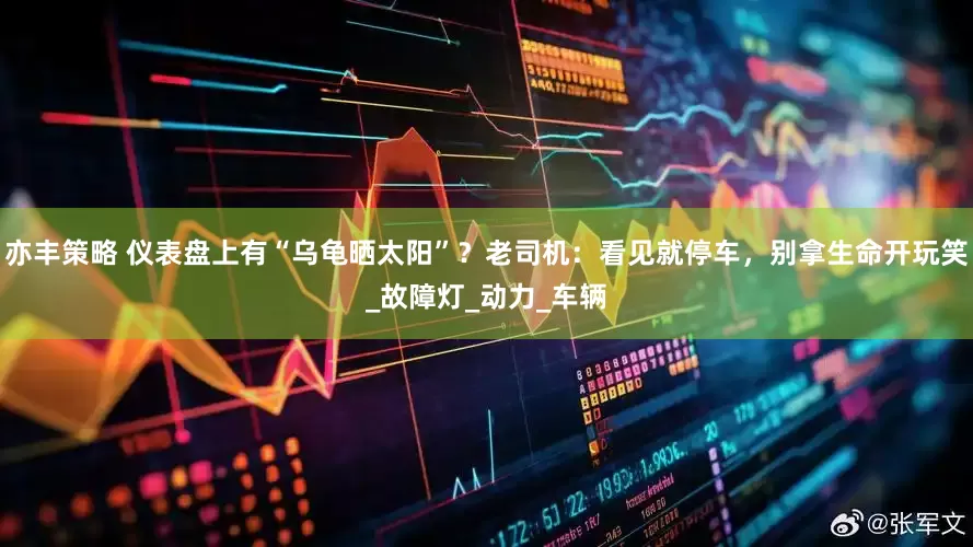 亦丰策略 仪表盘上有“乌龟晒太阳”？老司机：看见就停车，别拿生命开玩笑_故障灯_动力_车辆