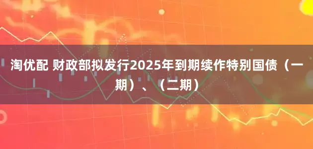 淘优配 财政部拟发行2025年到期续作特别国债（一期）、（二期）