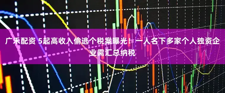 广禾配资 5起高收入偷逃个税案曝光！一人名下多家个人独资企业需汇总纳税